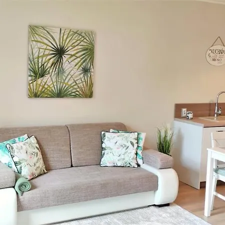 Apartament Sosnowy Zakątek - Park Rodzinna *